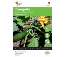 Buzzy® Courgette Klimmend Black Forest F1