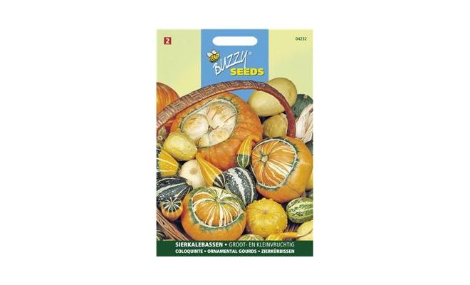 Buzzy® Cucurbita, Sierkalebas klein- en groot gemengd - afbeelding 1