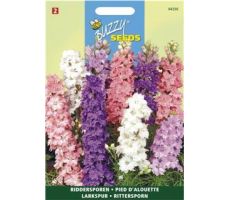 Buzzy® Delphinium, Ridderspoor gemengd - afbeelding 1