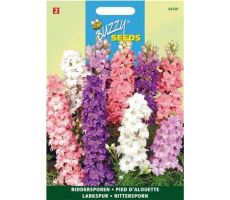 Buzzy® Delphinium, Ridderspoor gemengd - afbeelding 2