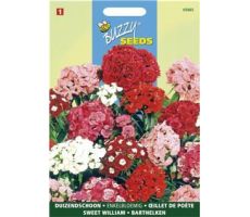 Buzzy® Dianthus, Duizendschoon enkelbloemig gemengd - afbeelding 1