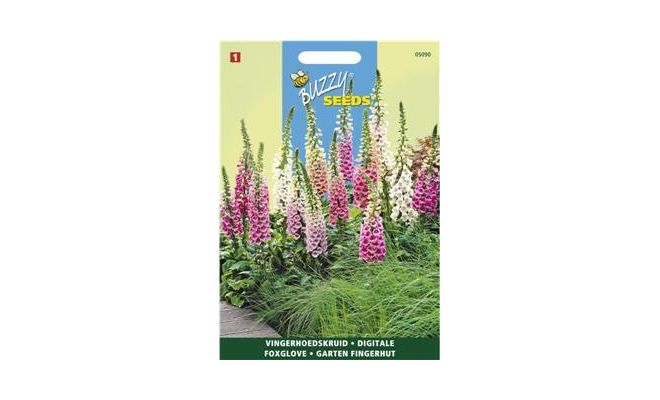 Buzzy® Digitalis, Vingerhoedskruid Gemengd - afbeelding 1