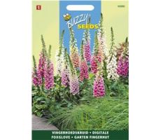 Buzzy® Digitalis, Vingerhoedskruid Gemengd - afbeelding 1