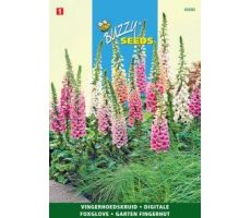 Buzzy® Digitalis, Vingerhoedskruid Gemengd - afbeelding 2