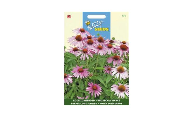 Buzzy® Echinacea, Rode Zonnehoed - afbeelding 1