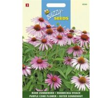 Buzzy® Echinacea, Rode Zonnehoed - afbeelding 1