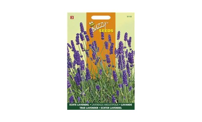 Buzzy® Echte Lavendel - afbeelding 1