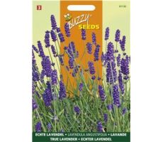 Buzzy® Echte Lavendel - afbeelding 1