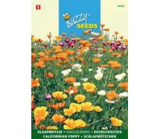 Buzzy® Eschscholtzia, Slaapmutsje enkelbloemig gemengd - afbeelding 2