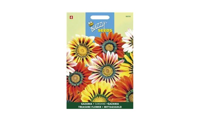 Buzzy® Gazania Sunshine gemengd - afbeelding 1