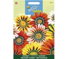 Buzzy® Gazania Sunshine gemengd - afbeelding 1