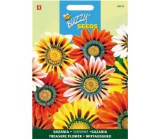 Buzzy® Gazania Sunshine gemengd - afbeelding 2