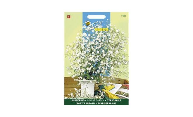 Buzzy® Gypsophila, Gipskruid Covent Garden - afbeelding 1