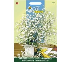 Buzzy® Gypsophila, Gipskruid Covent Garden - afbeelding 1