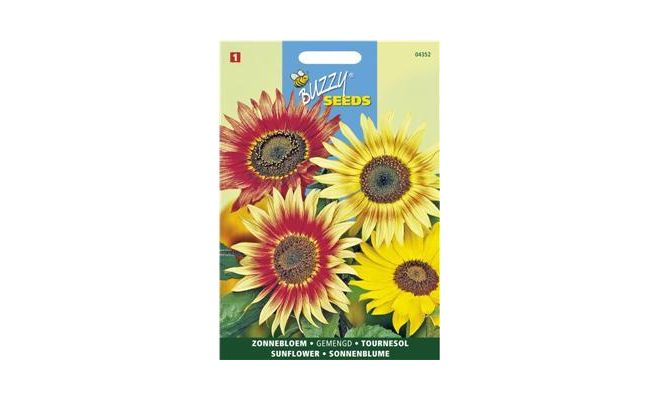 Buzzy® Helianthus, Zonnebloem gemengd - afbeelding 1