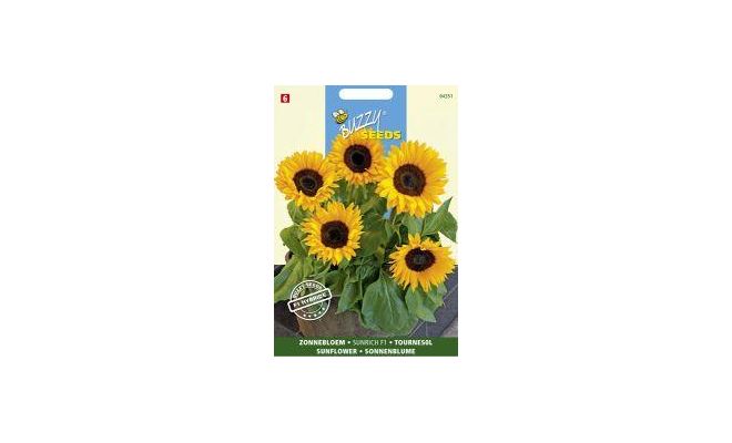 Buzzy® Helianthus, Zonnebloem Sunrich Orange F1