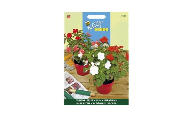 Buzzy® Impatiens, Vlijtig Liesje Baby gemengd - afbeelding 1