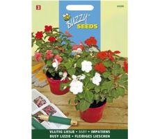 Buzzy® Impatiens, Vlijtig Liesje Baby gemengd - afbeelding 1