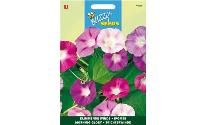 Buzzy® Ipomoea, Klimmende winde gemengd - afbeelding 1