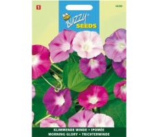 Buzzy® Ipomoea, Klimmende winde gemengd - afbeelding 1