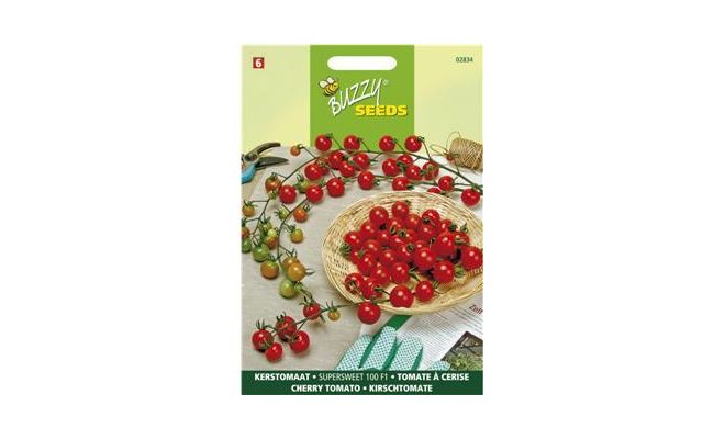 Buzzy® Kerstomaat Supersweet 100 F1 - afbeelding 1