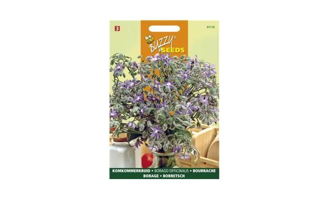 Buzzy® Komkommerkruid (Borage) - afbeelding 1