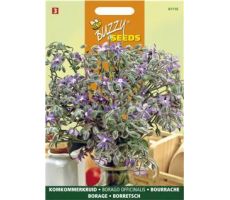 Buzzy® Komkommerkruid (Borage) - afbeelding 1