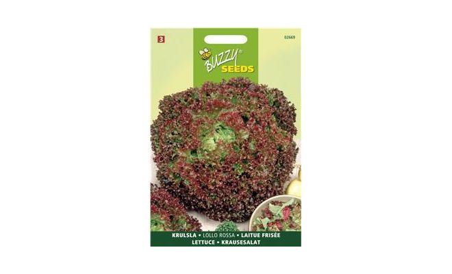 Buzzy® Krulsla Lollo Rossa - afbeelding 1