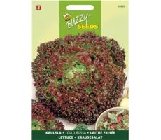 Buzzy® Krulsla Lollo Rossa - afbeelding 1
