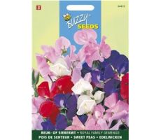 Buzzy® Lathyrus, Reuk- of siererwt Royal Family gemengd - afbeelding 1