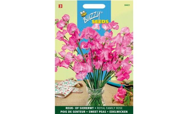 Buzzy® Lathyrus, Reuk- of siererwt Royal Family roze - afbeelding 1