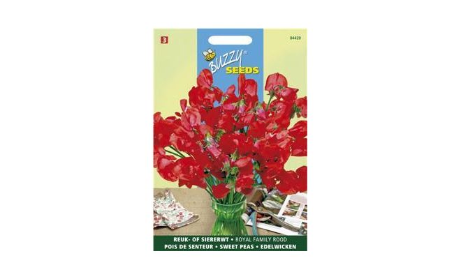 Buzzy® Lathyrus, Reuk- of siererwt Royal Family Scarlet - afbeelding 1