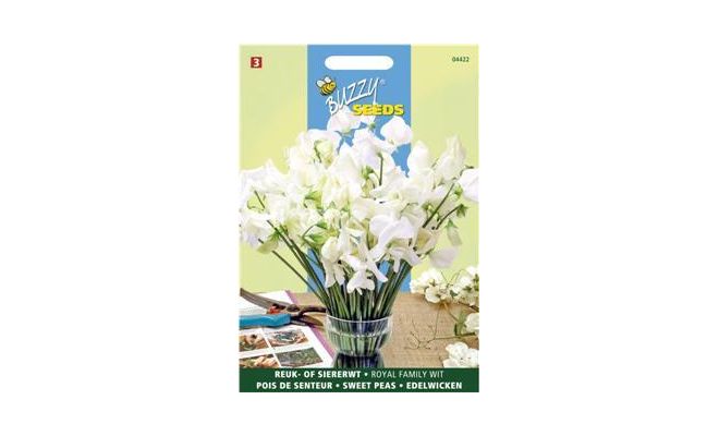 Buzzy® Lathyrus, Reuk- of siererwt Royal Family Wit - afbeelding 1