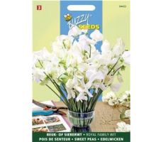 Buzzy® Lathyrus, Reuk- of siererwt Royal Family Wit - afbeelding 1