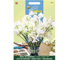 Buzzy® Lathyrus, Reuk- of siererwt Royal Family Wit - afbeelding 2