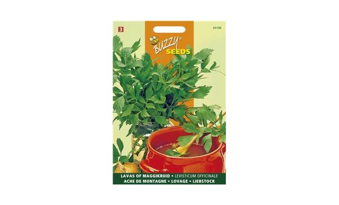 Buzzy® Lavas (Maggiplant) - afbeelding 1
