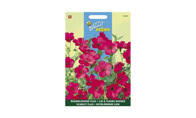 Buzzy® Linum, roodbloeiende Vlas - afbeelding 1