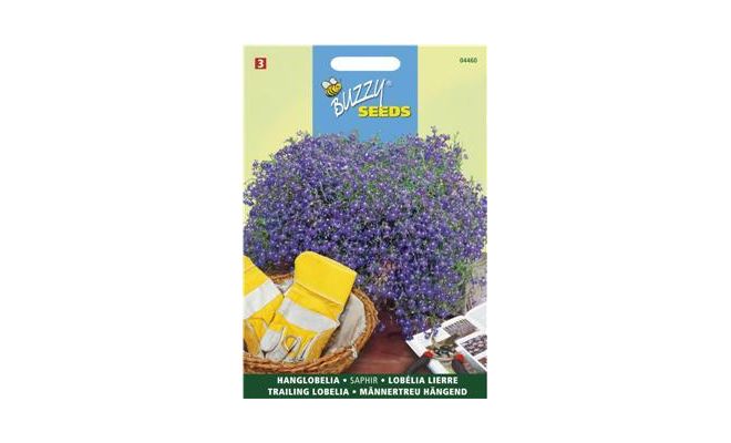 Buzzy® Lobelia, Hanglobelia Sapphire blauw - afbeelding 1