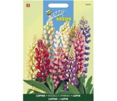 Buzzy® Lupinus, Lupine Russel’s Hybrids gemengd - afbeelding 1