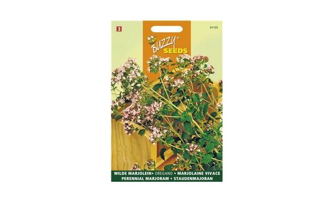 Buzzy® Marjolein - Oregano - afbeelding 1