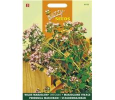 Buzzy® Marjolein - Oregano - afbeelding 1