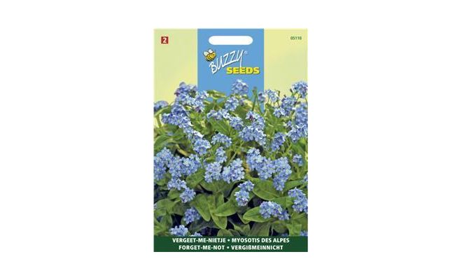 Buzzy® Myosotis, 'vergeet-me-nietje' blauw - afbeelding 1