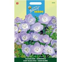 Buzzy® Nemophila, Haagbloem Hemelsblauw - afbeelding 2