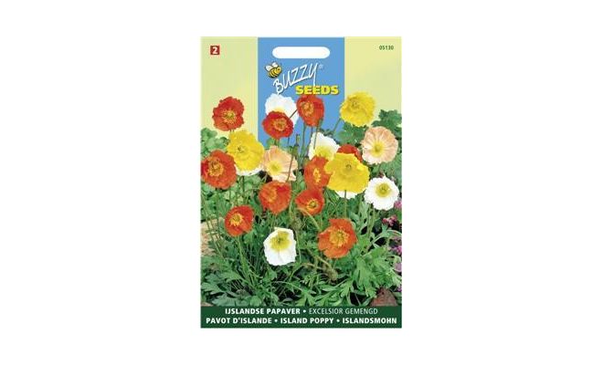 Buzzy® Papaver, IJslandse Excelsior gemengd - afbeelding 1