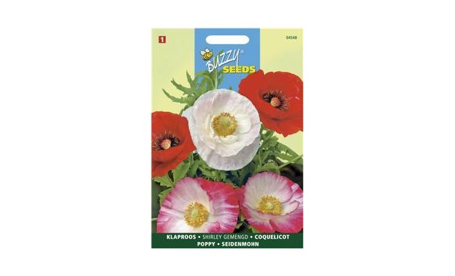 Buzzy® Papaver, Klaproos Shirley dubbelbloemig gemengd - afbeelding 1