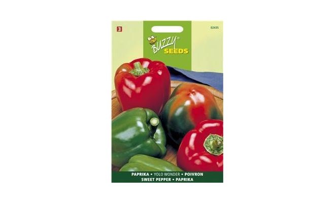 Buzzy® Paprika Yolo Wonder - afbeelding 1