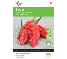 Buzzy® Peper Bhut Jolokia Red