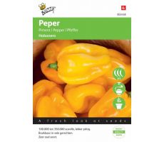 Buzzy® Peper Habanero oranje