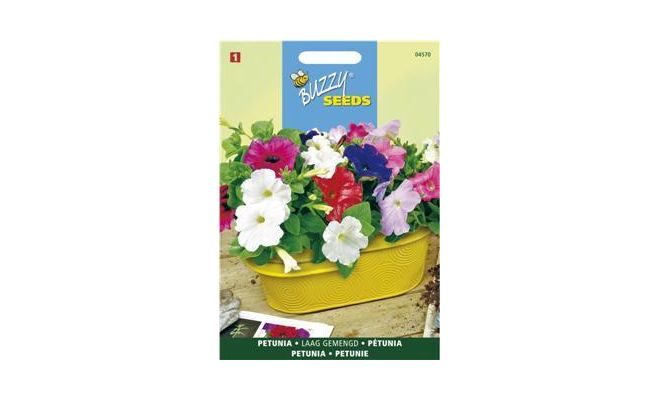 Buzzy® Petunia laag gemengd - afbeelding 1