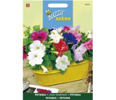 Buzzy® Petunia laag gemengd - afbeelding 1